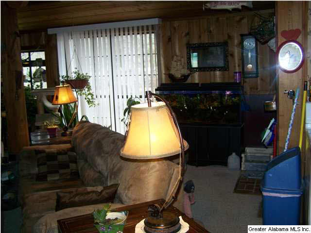193 Coosa View Lane Riverside, AL 35135 - Photo 13 of 23