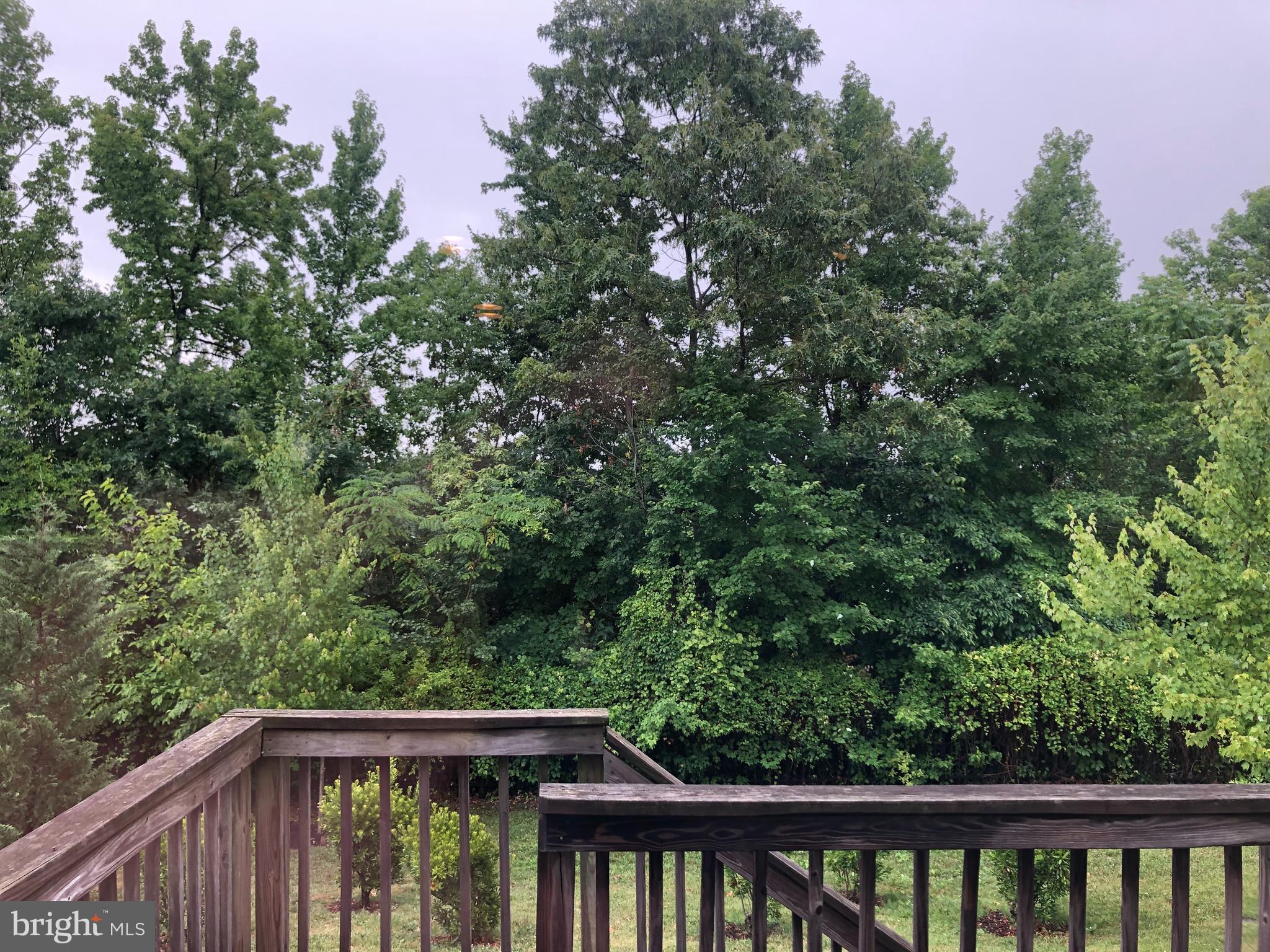 9659 Davison Road Middle River, MD 21220 - Photo 30 of 34 Backs to trees