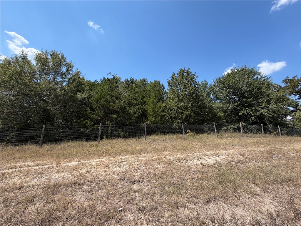 N/a Minter Spring Road College Station, TX 77845 - Photo 7 of 11 Gallery Image 7