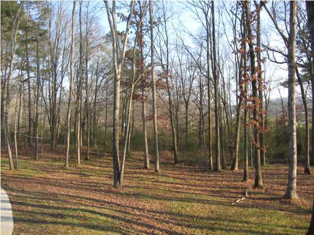 11842 McGhee Road Apison, TN 37302 - Photo 20 of 23 Additional Photo
