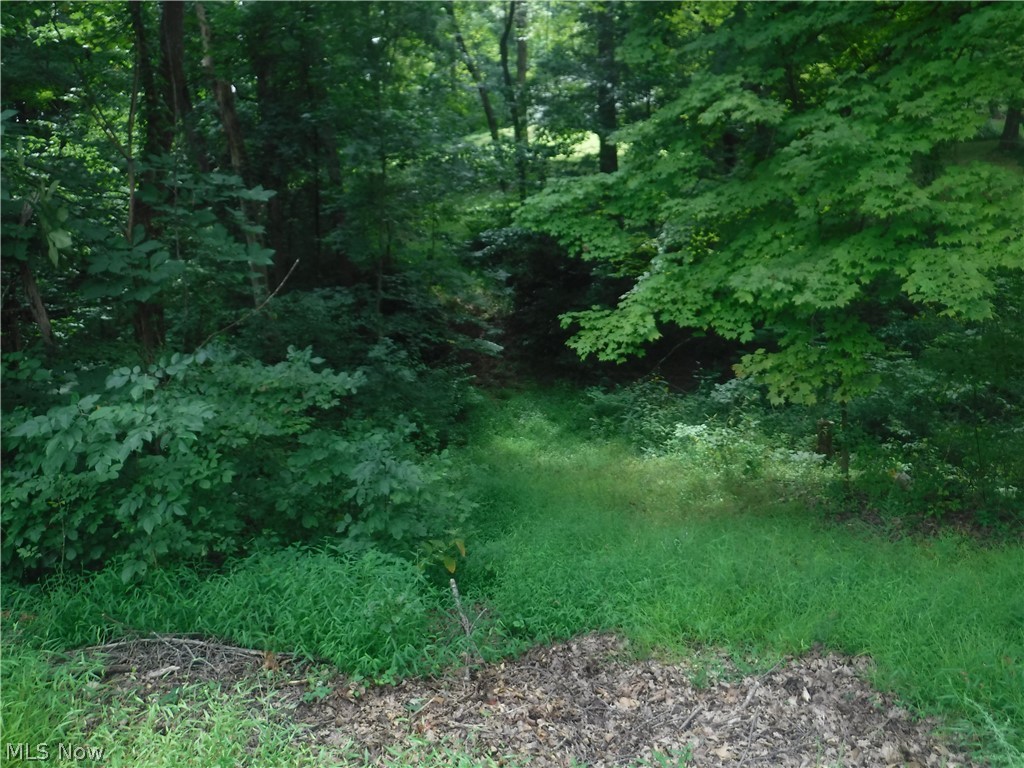 Carol Lane Dresden, OH 43821 - Photo 6 of 12 View of pathway to the back lot, in addition to the stone bridge which is uphill, to the right.
