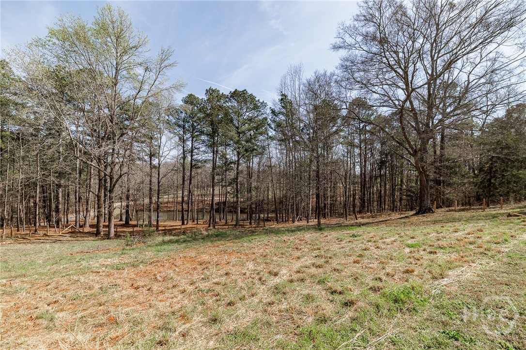 12 Black Thorn Road Colbert, GA 30628 - Photo 51 of 74