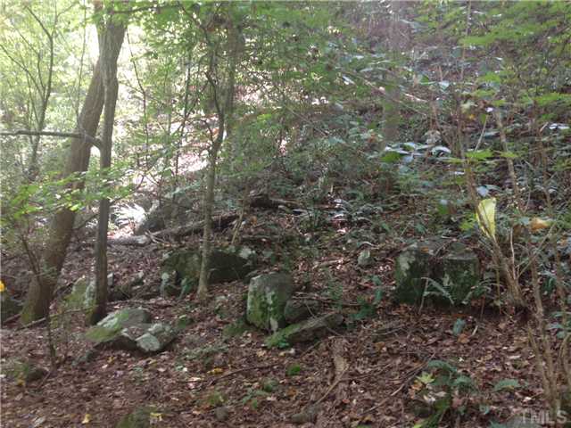 Bynum Road Pittsboro, NC 27312 - Photo 6 of 7 rock outcroppings down by the rivers edge- up on the flat bluff, the ground looks good- soil has very good perk potential- old permit expired