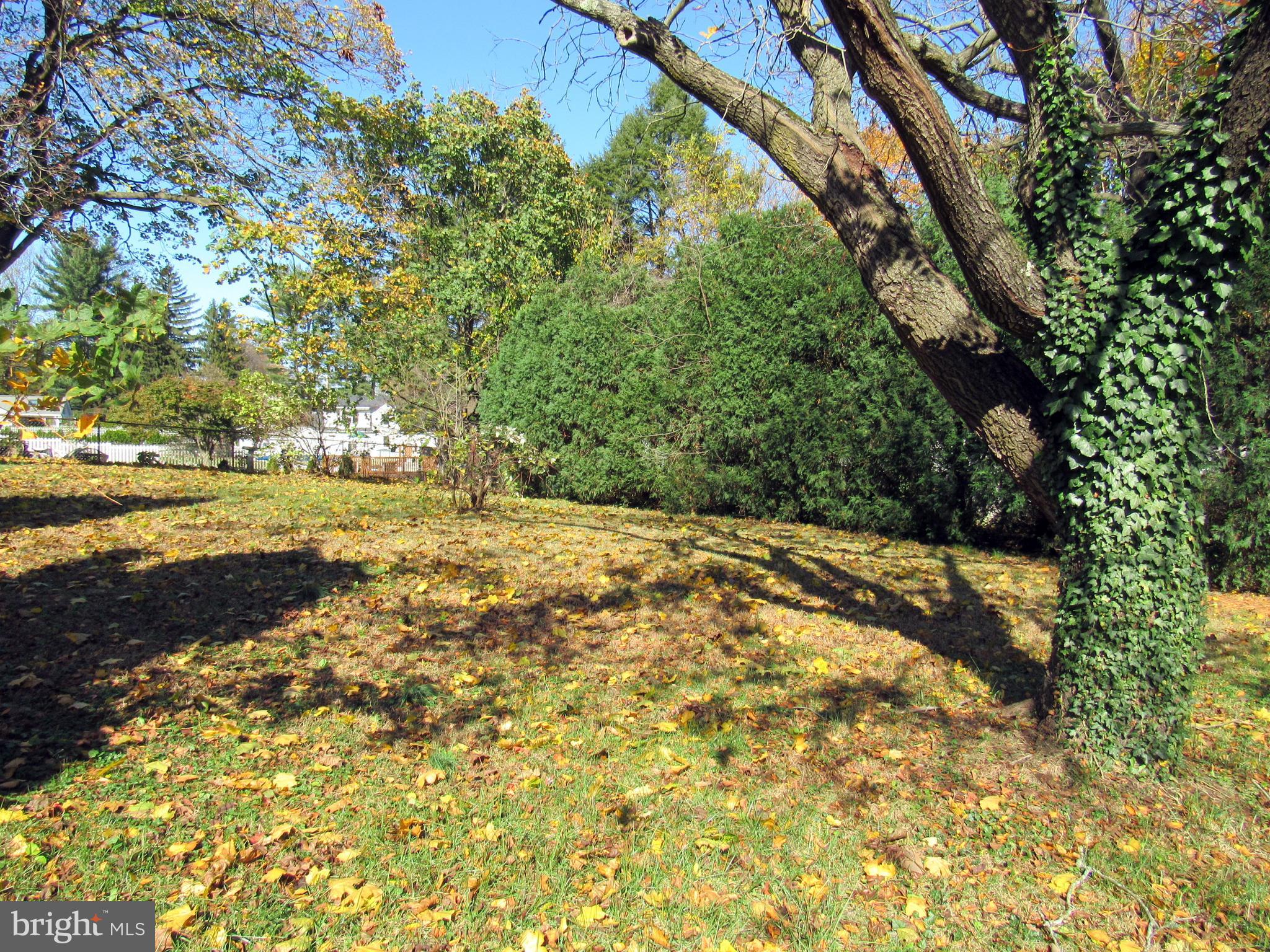 125 Red Lion Road Huntingdon Valley, PA 19006 - Photo 4 of 74