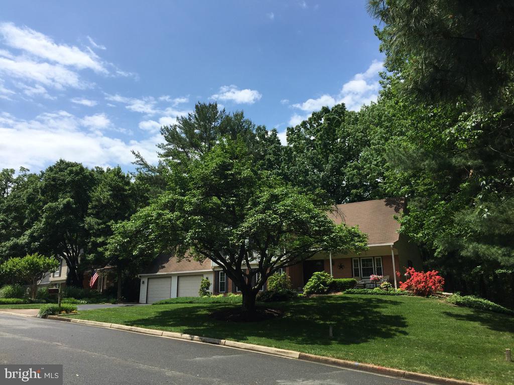 2014 Homer Terrace Reston, VA 20191 - Photo 3 of 44 In full bloom!