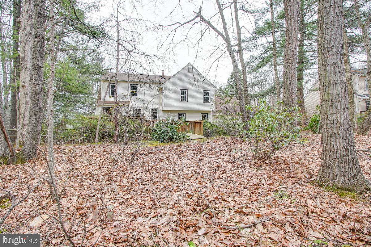 2014 Homer Terrace Reston, VA 20191 - Photo 38 of 44 Backyard