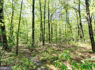 2014 Homer Terrace Reston, VA 20191 - Photo 40 of 44 Backyard Oasis