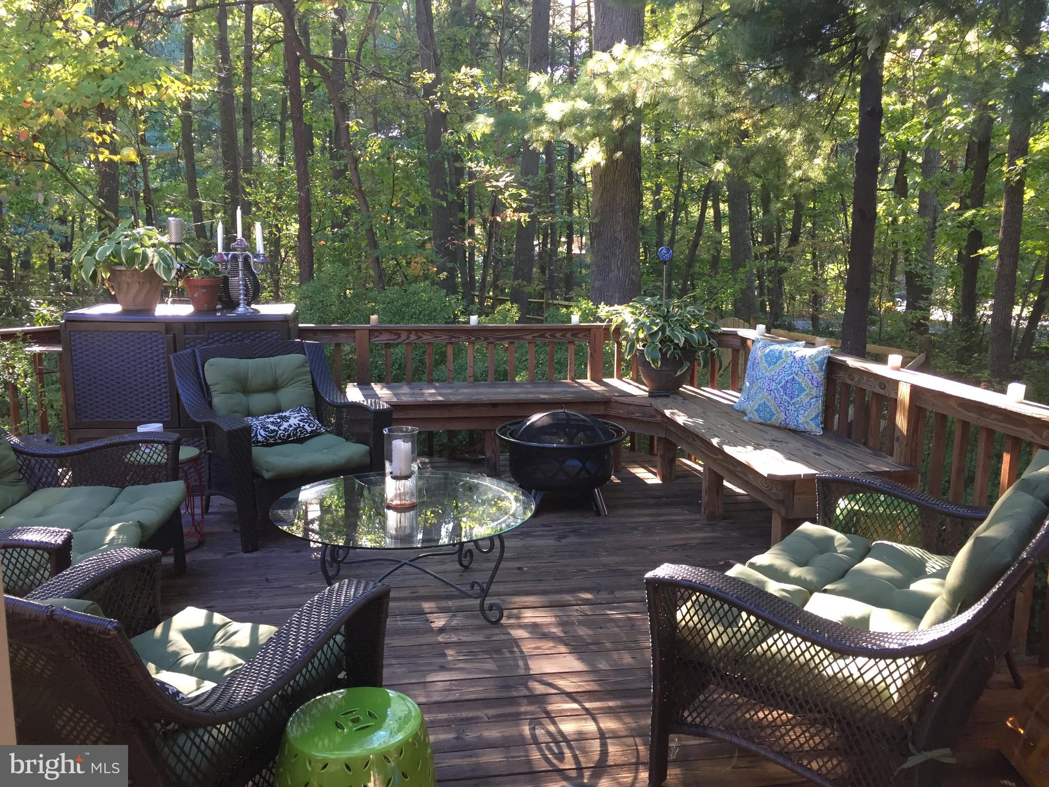 2014 Homer Terrace Reston, VA 20191 - Photo 43 of 44 Backyard Oasis