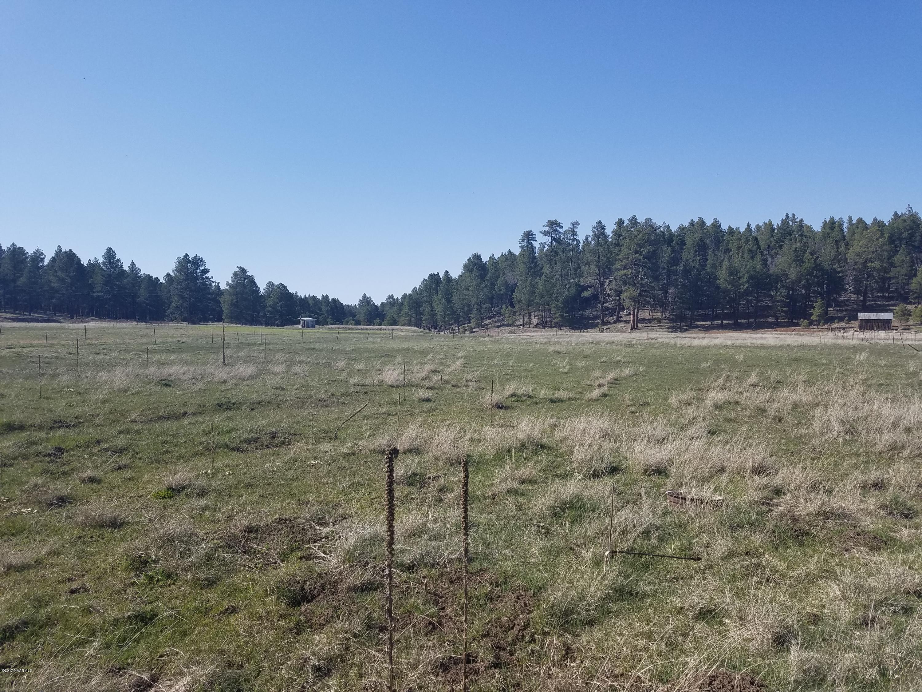 515 Warm Springs Road Williams, AZ 86046 - Photo 2 of 4 20170412_155043