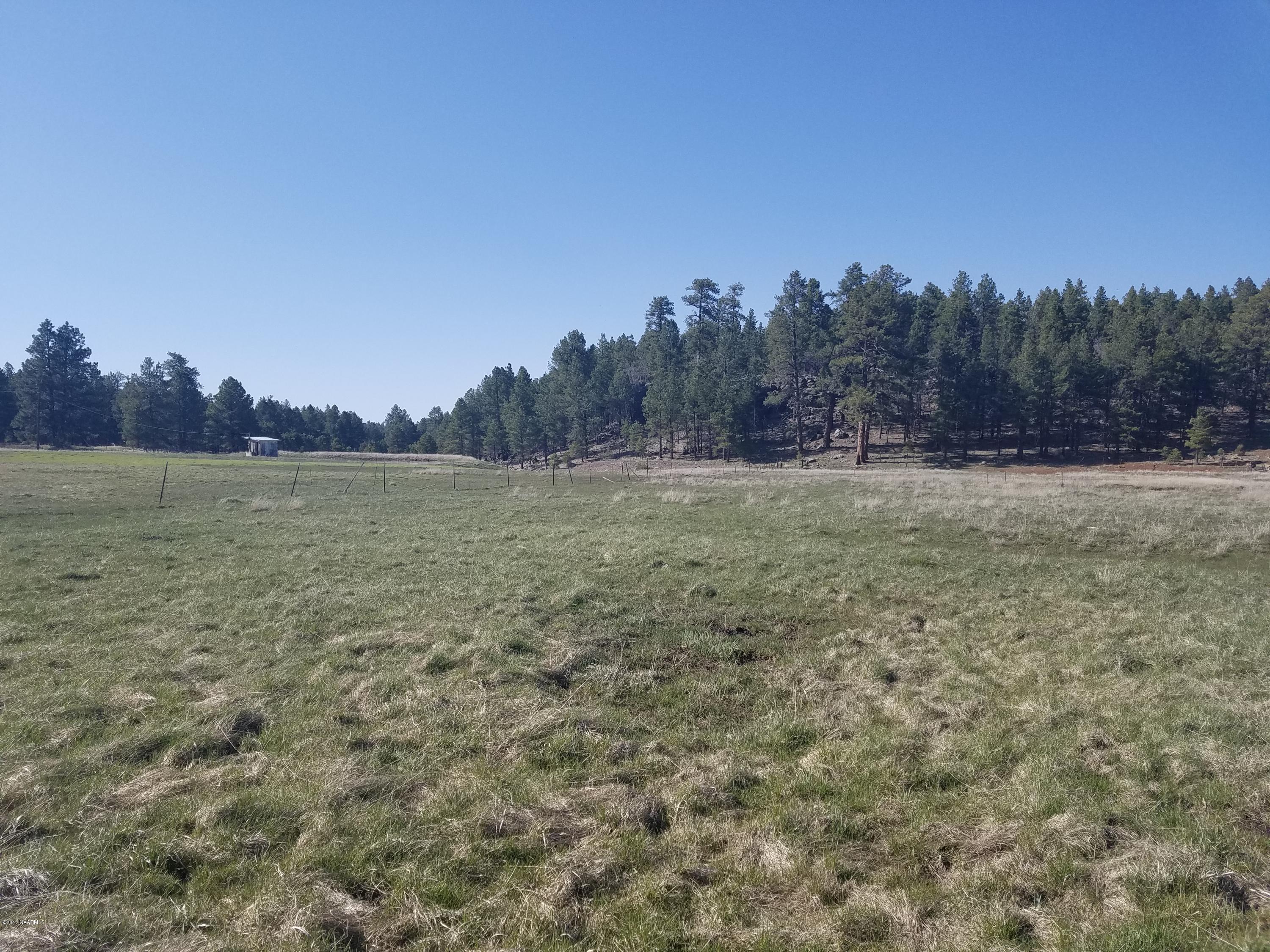515 Warm Springs Road Williams, AZ 86046 - Photo 3 of 4 20170412_155251