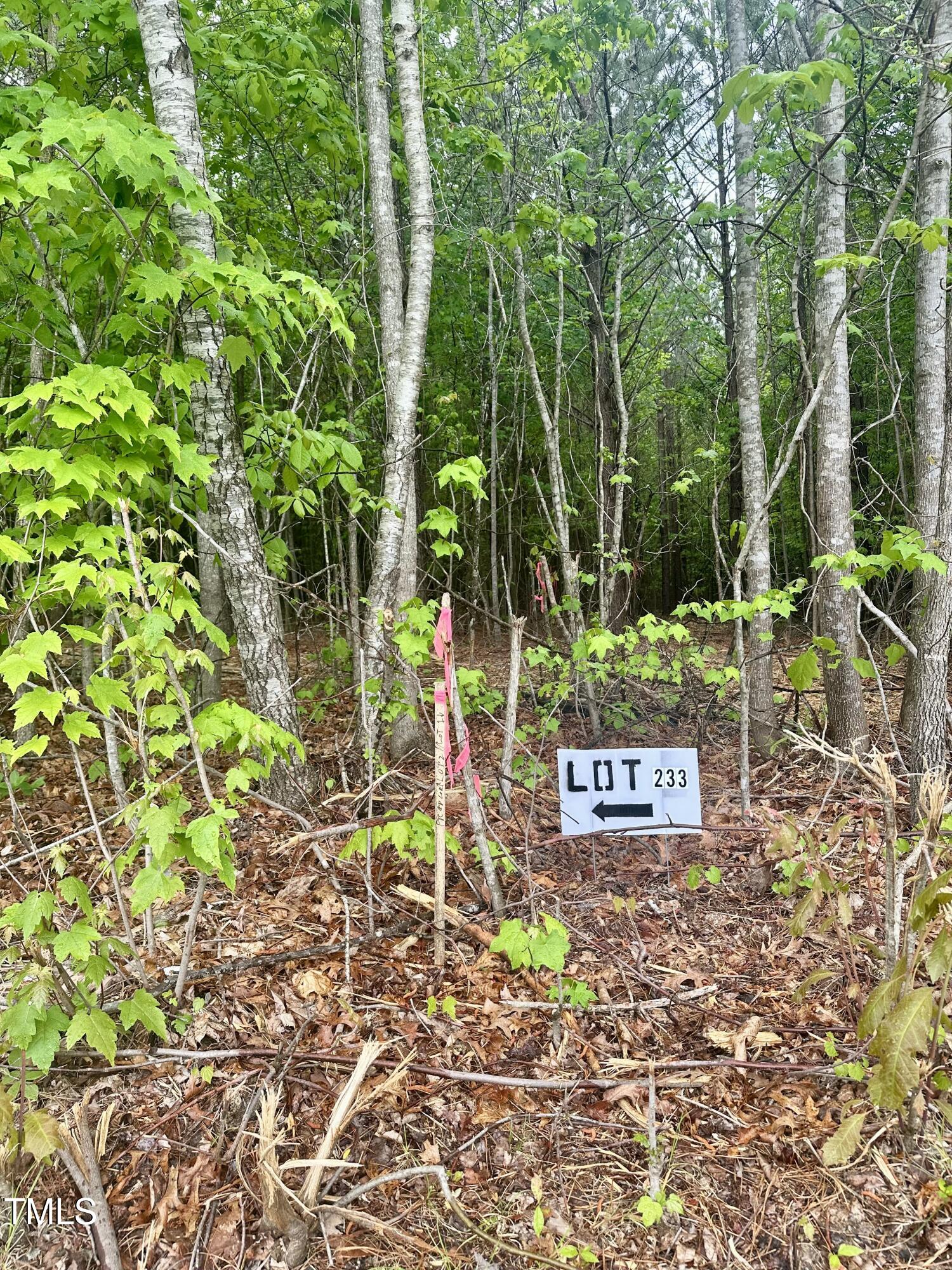 Lot 2 Range Road Rougemont, NC 27572 - Photo 6 of 7 IMG_9522