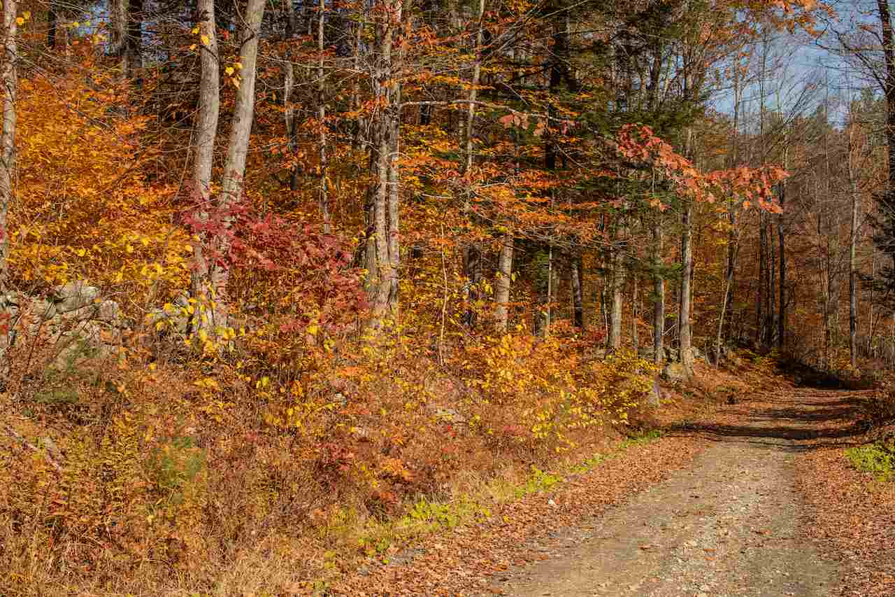 536 Craven Road Jamaica, VT 05343 - Photo 2 of 18