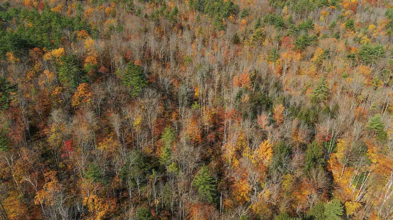 536 Craven Road Jamaica, VT 05343 - Photo 9 of 18