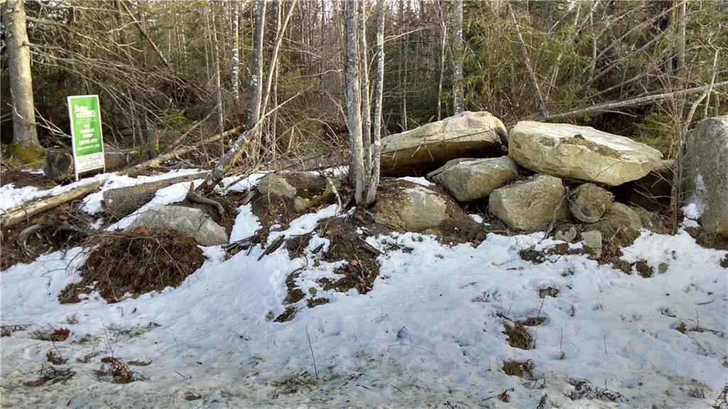 Lot 4 White Orchard Road Frankfort, ME 04438 - Photo 5 of 9 Photo