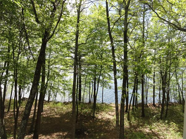 10 Sarah Doublet Road Littleton, MA 01460 - Photo 17 of 30 Gallery Image 17