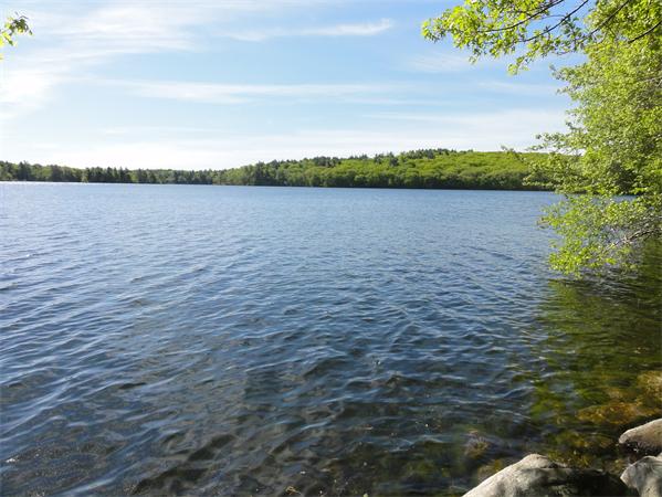 10 Sarah Doublet Road Littleton, MA 01460 - Photo 29 of 30 Gallery Image 29