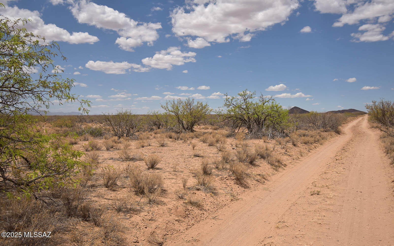 2.7-ac West Austin Henely Road, Unit 706 Elfrida, AZ 85610 - Photo 12 of 17