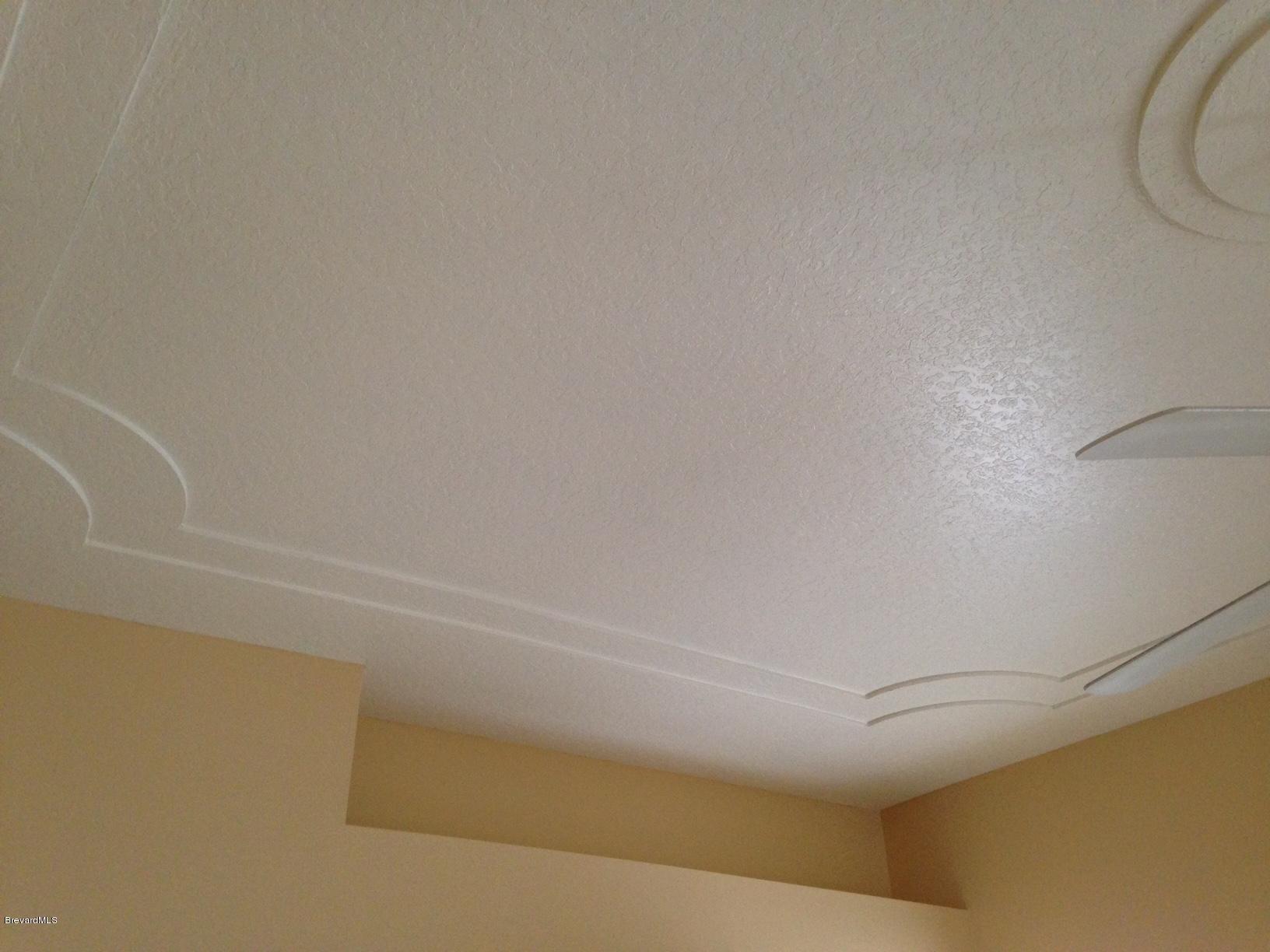 1207 Winding Meadows Road Rockledge, FL 32955 - Photo 20 of 27 Archetectural Accents in Ceiling