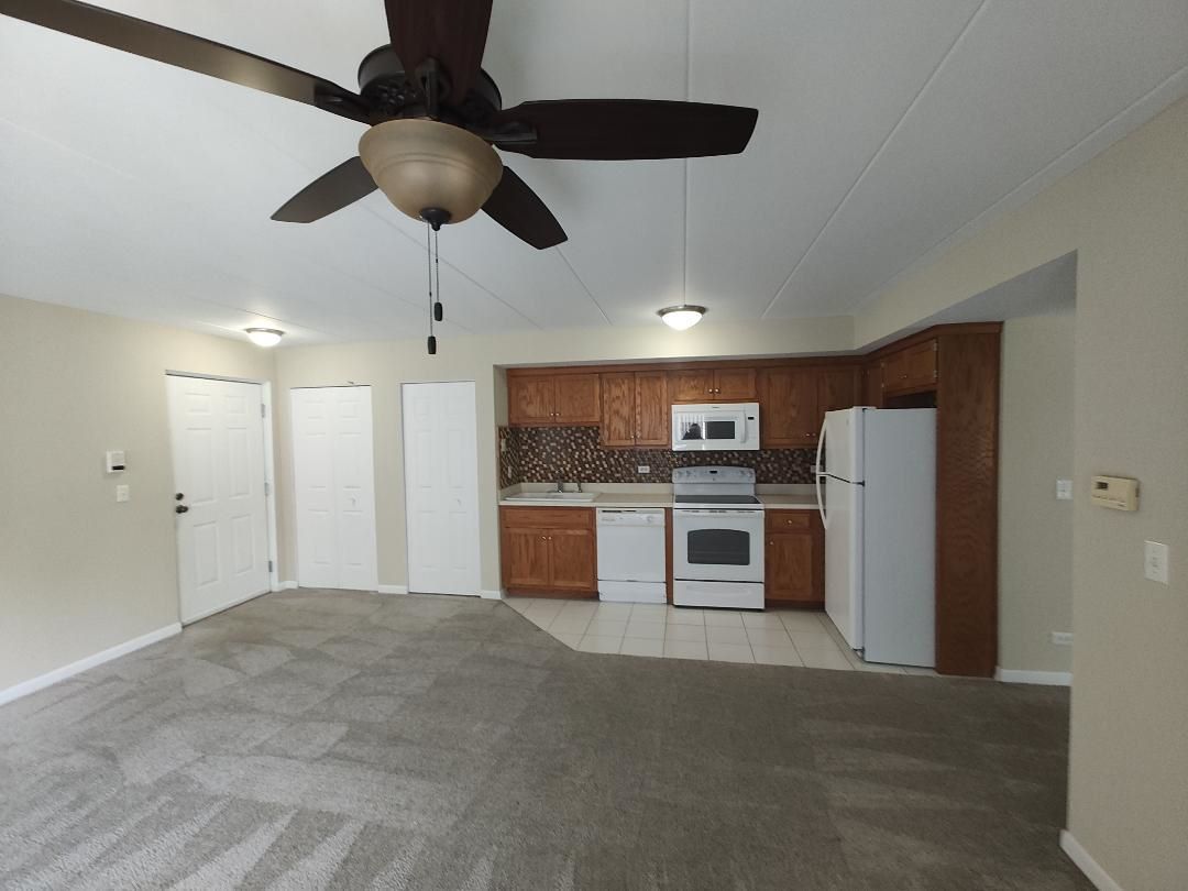 7326 40th Street, Unit 3C Lyons, IL 60534 - Photo 4 of 11