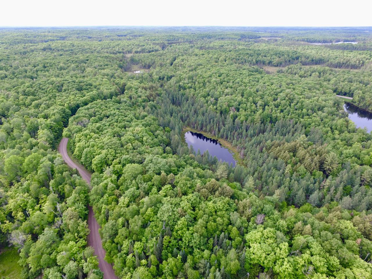 On Wildcat Road, Unit LOT A Presque Isle, WI 54557 - Photo 6 of 18 Gallery Image 6