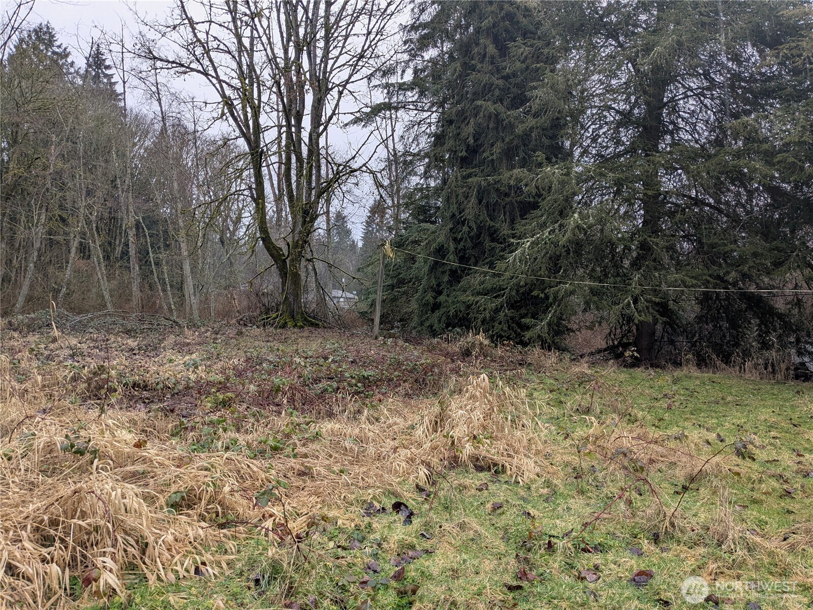 23324 7th Avenue Southeast Bothell, WA 98021 - Photo 17 of 18