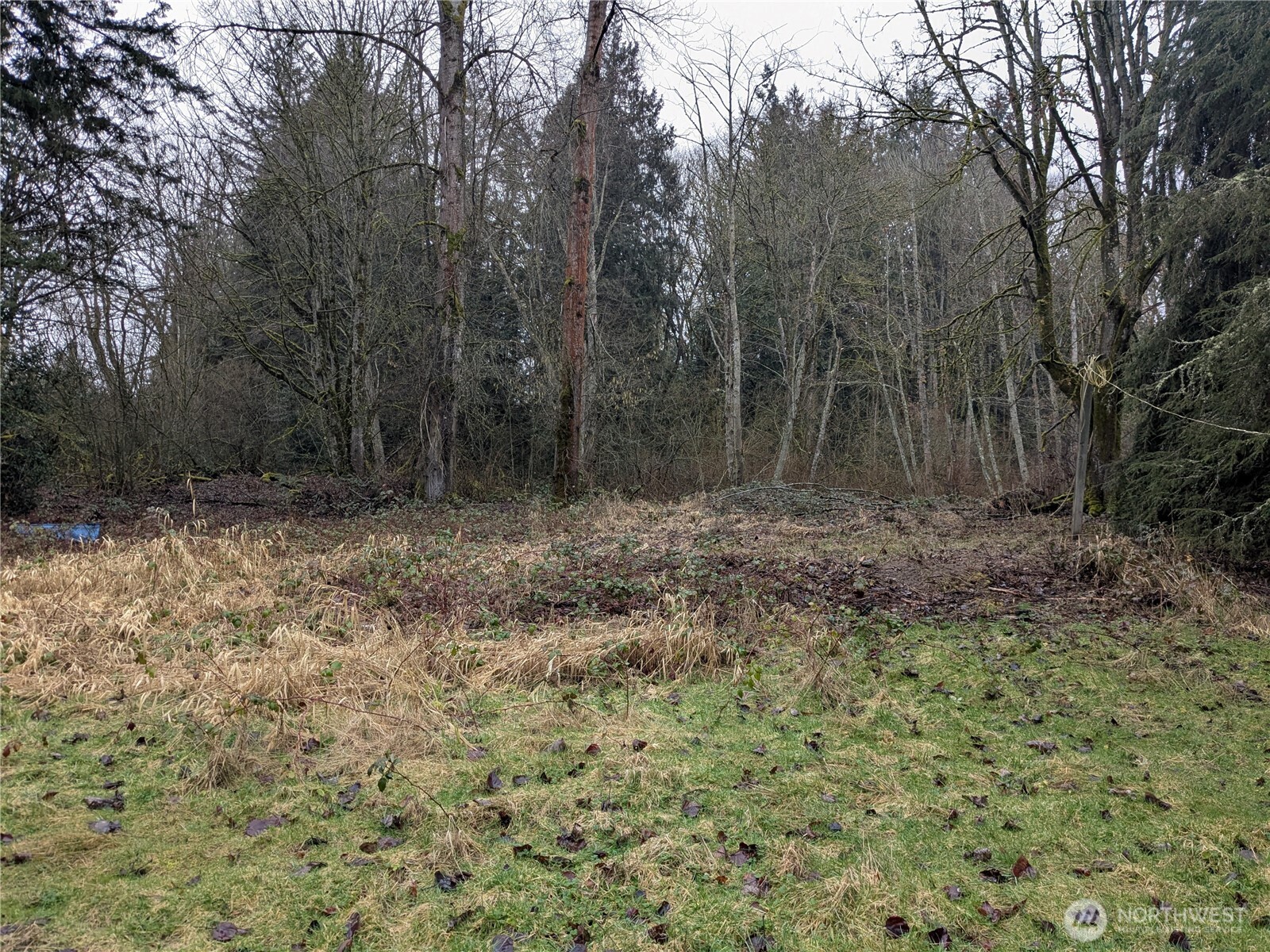 23324 7th Avenue Southeast Bothell, WA 98021 - Photo 18 of 18