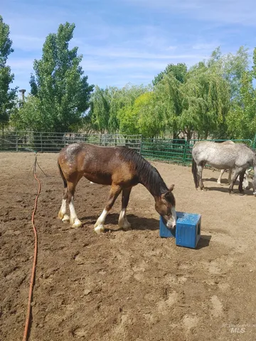 $1,347,000 | 6252 King Hill Canal Road, Bliss, ID 83314