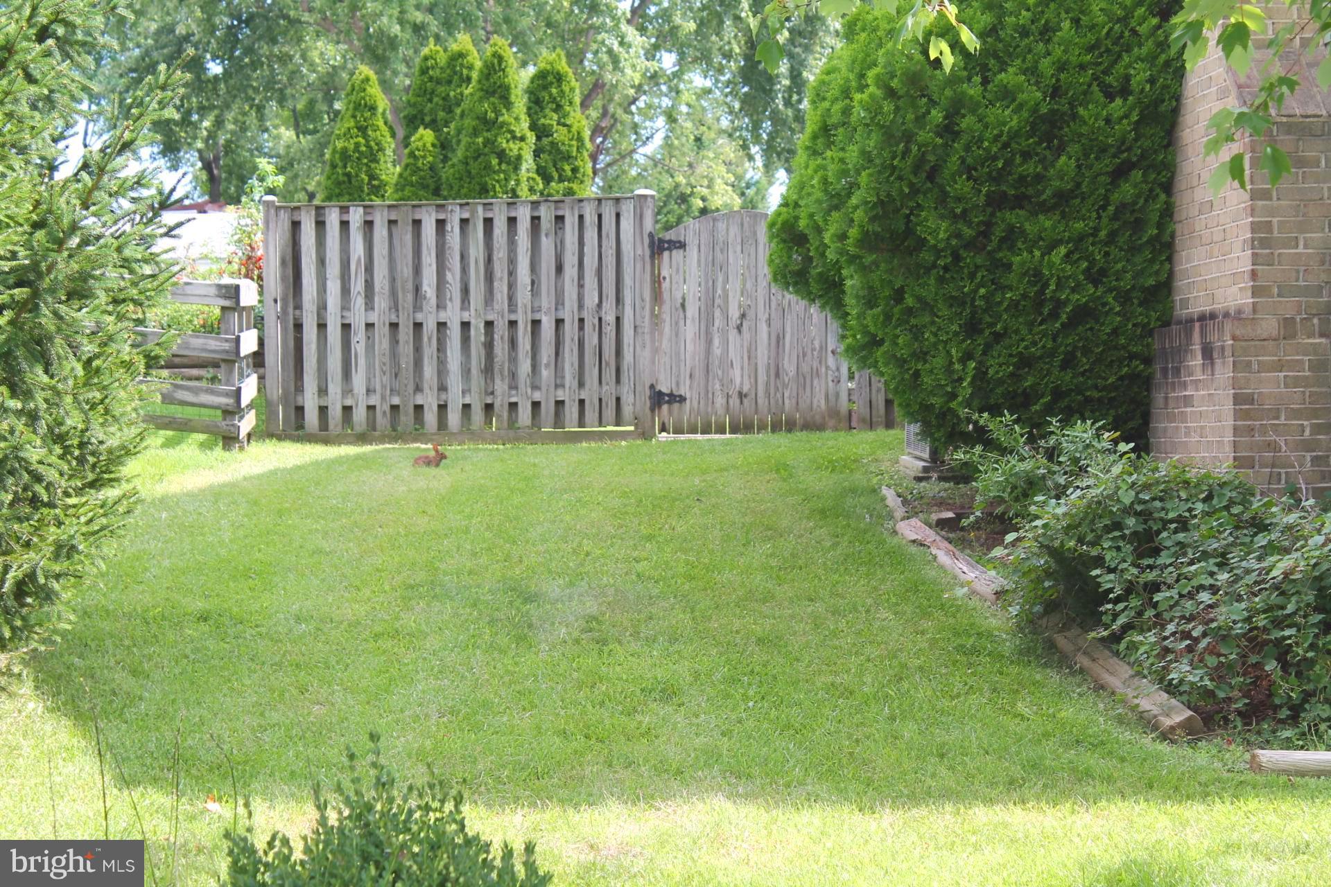 5657 Selford Road Baltimore, MD 21227 - Photo 22 of 23 Exterior (General) Look at the Bunny!
