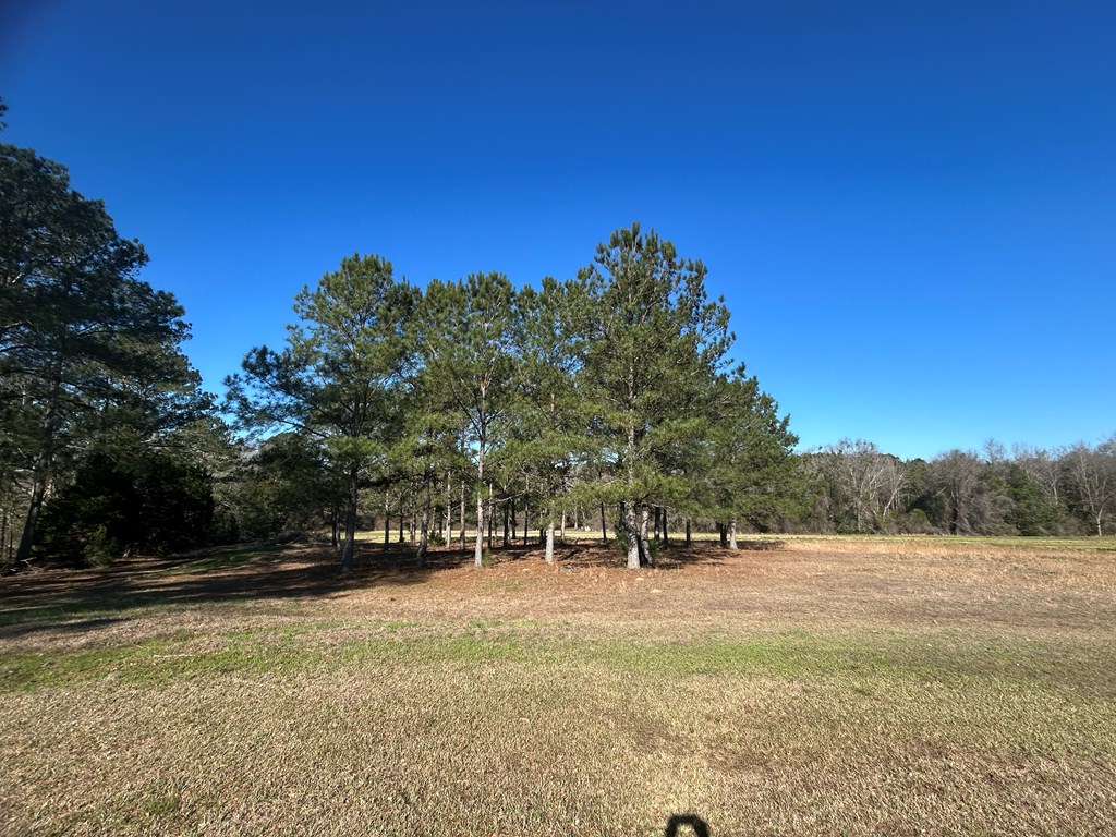 11034-11134 Cty Road Slocomb, AL 36375 - Photo 35 of 80