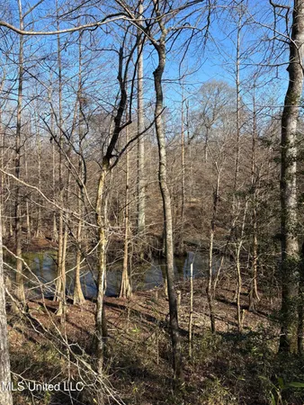 $1,200,000 | Lee Bass Road, Pinola, MS 39149