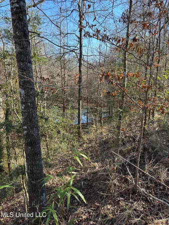 $1,200,000 | Lee Bass Road, Pinola, MS 39149