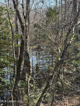 $1,200,000 | Lee Bass Road, Pinola, MS 39149