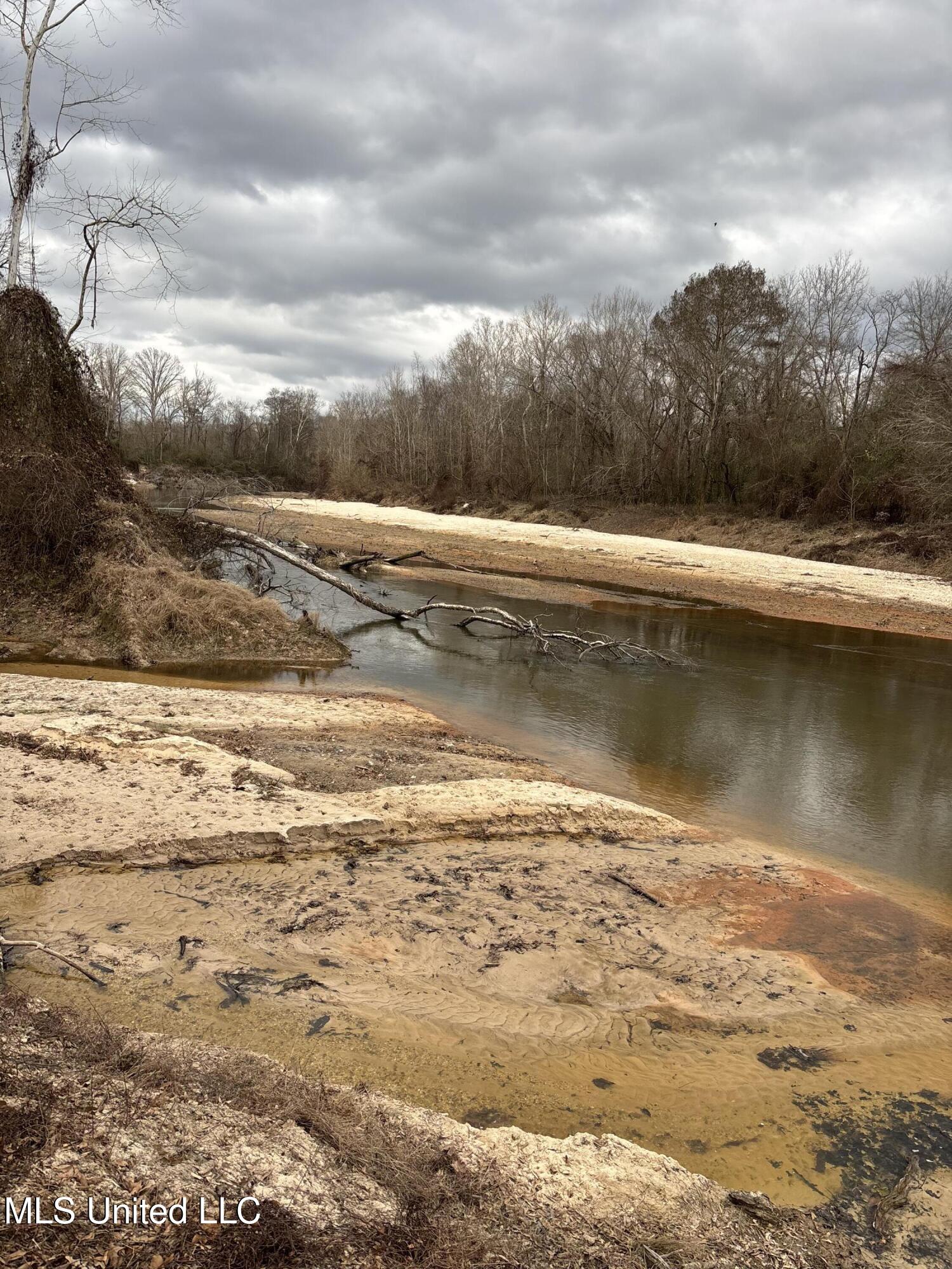 Lee Bass Road Pinola, MS 39149 - Photo 2 of 13 IMG_3396