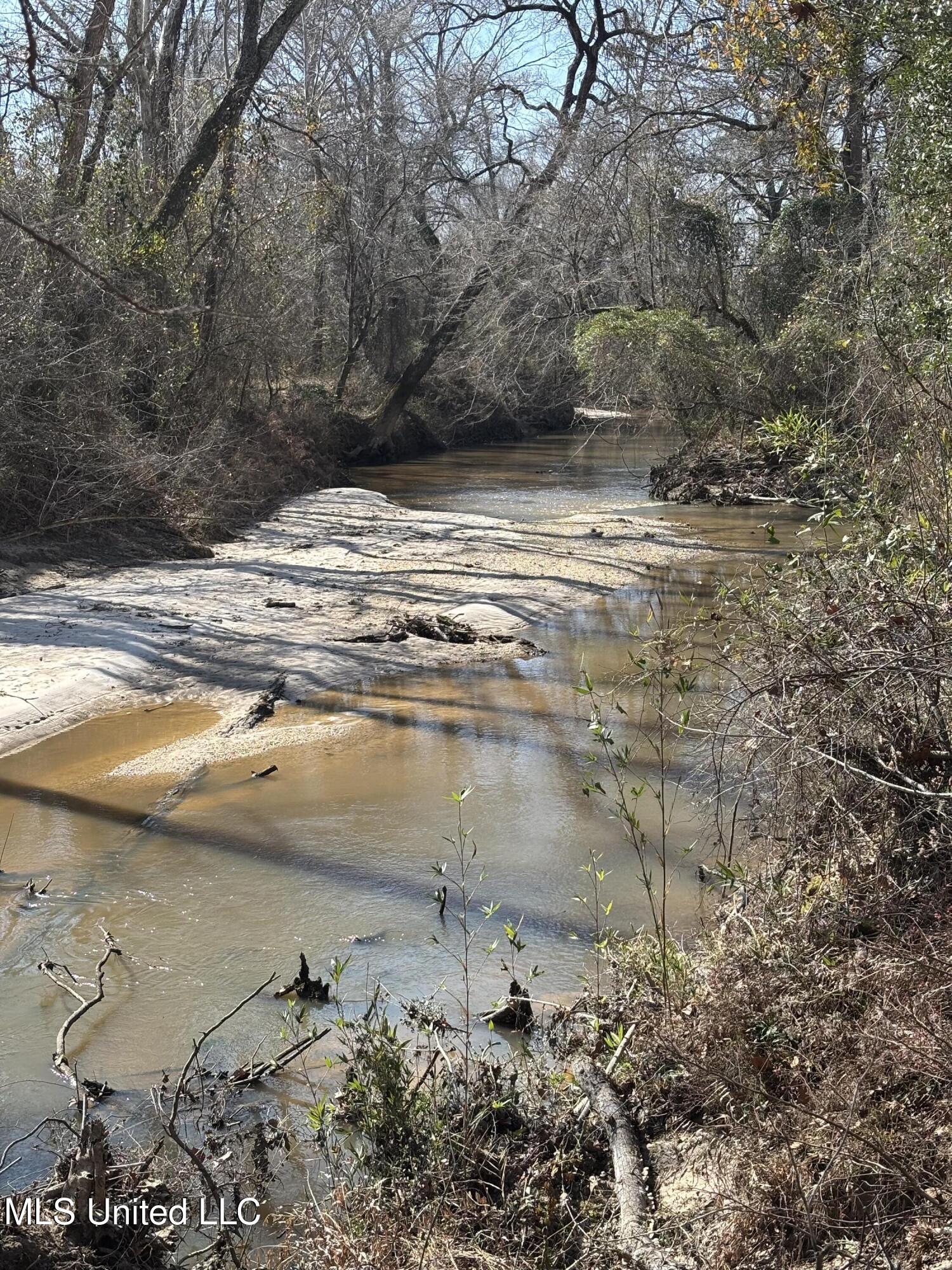 Lee Bass Road Pinola, MS 39149 - Photo 4 of 13 IMG_3474