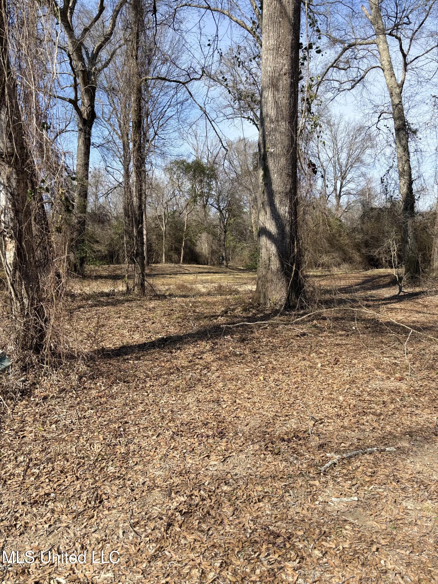 Lee Bass Road Pinola, MS 39149 - Photo 5 of 13 IMG_3483