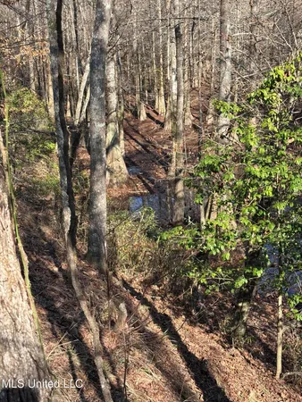 $1,200,000 | Lee Bass Road, Pinola, MS 39149