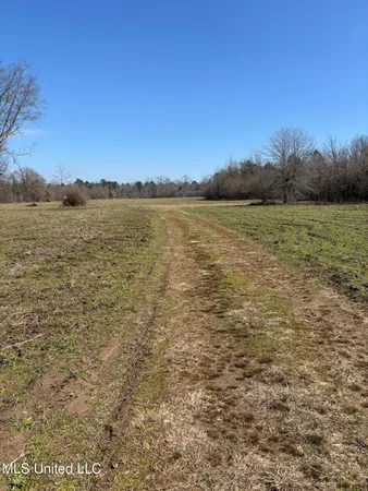 $1,200,000 | Lee Bass Road, Pinola, MS 39149