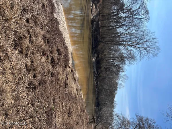 $1,200,000 | Lee Bass Road, Pinola, MS 39149