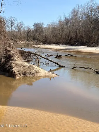 $1,200,000 | Lee Bass Road, Pinola, MS 39149