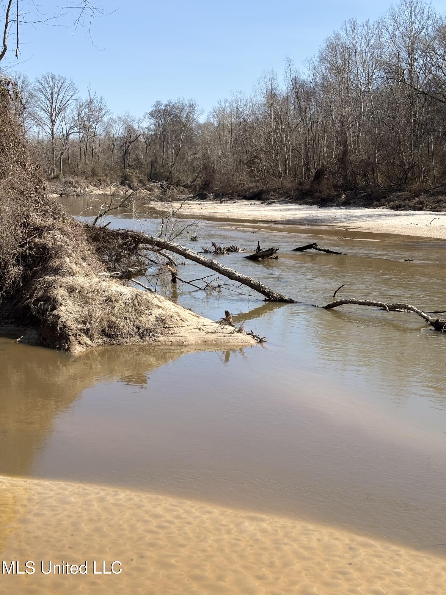 Lee Bass Road Pinola, MS 39149 - Photo 10 of 13 IMG_3482