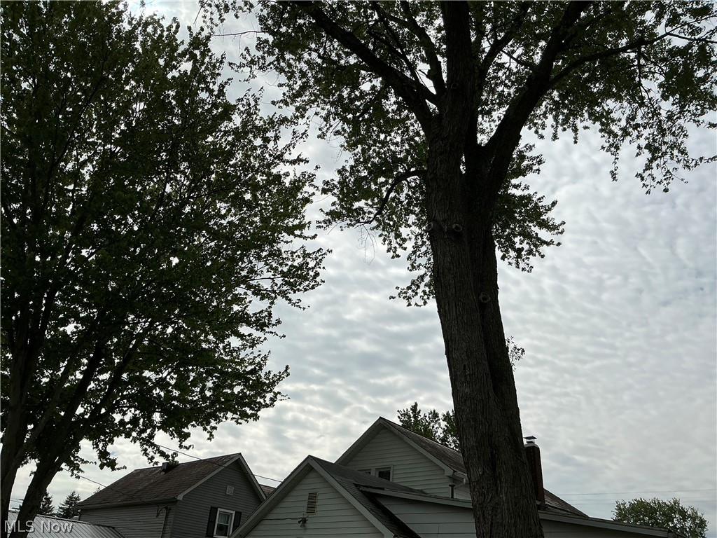 4763 Rutledge Street Southeast Midvale, OH 44653 - Photo 3 of 43 Large Trees