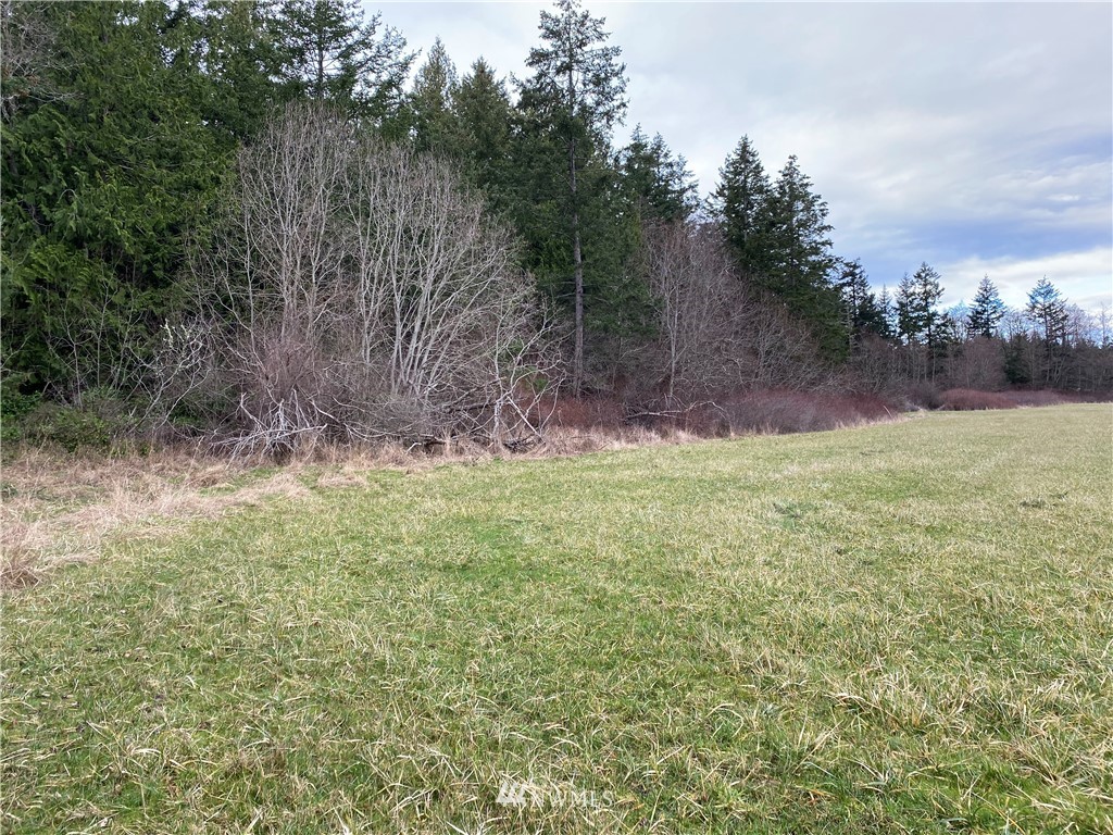 0 Lopez Road Lopez Island, WA 98261 - Photo 3 of 6