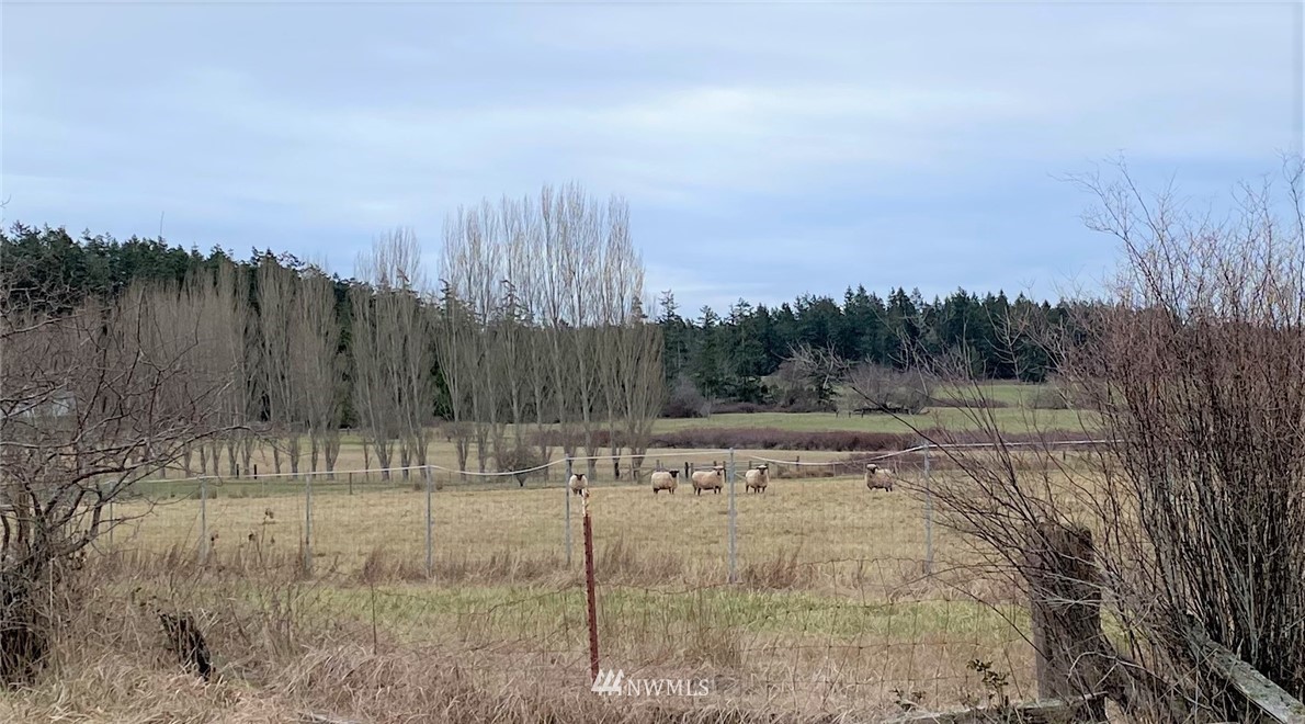 0 Lopez Road Lopez Island, WA 98261 - Photo 4 of 6