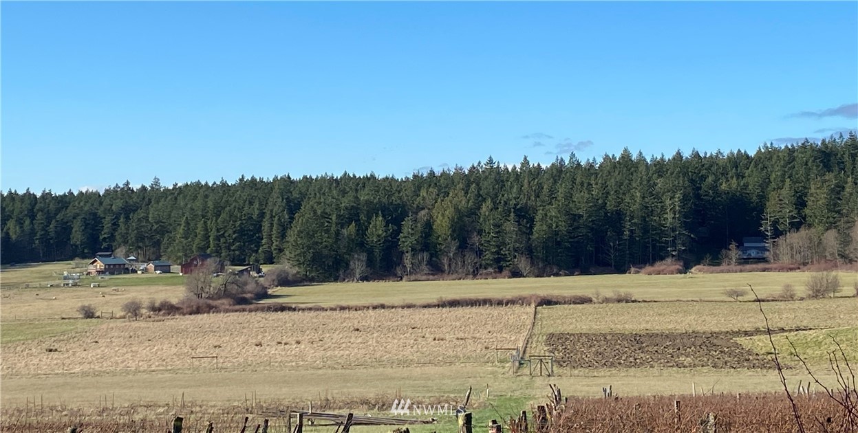 0 Lopez Road Lopez Island, WA 98261 - Photo 5 of 6