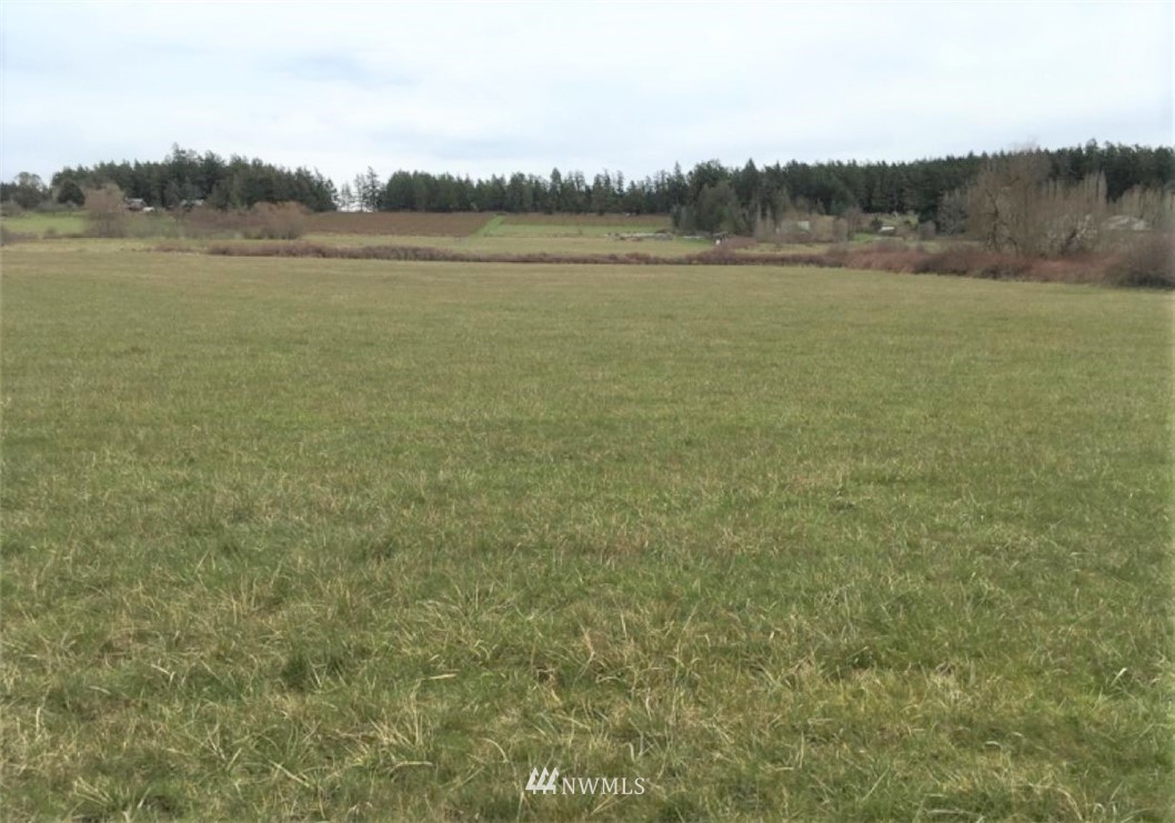 0 Lopez Road Lopez Island, WA 98261 - Photo 6 of 6