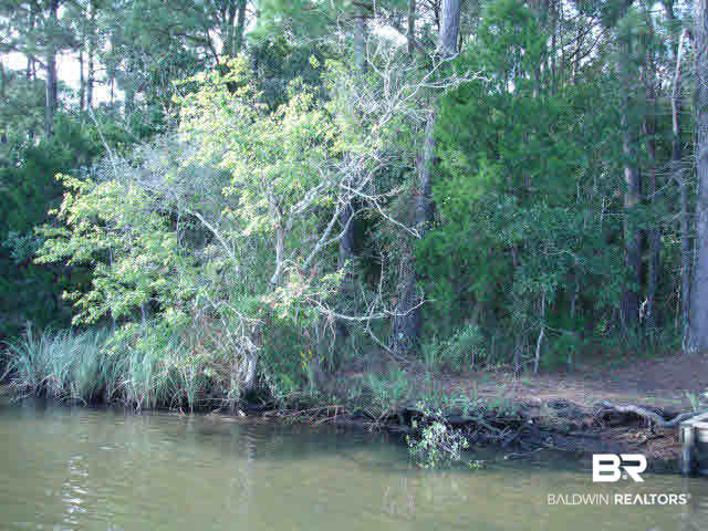 0 Franklin Road Foley, AL 36535 - Photo 5 of 18