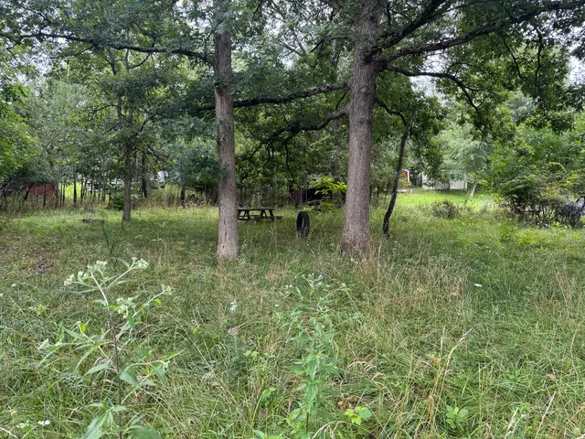 a backyard of a house with lots of green space