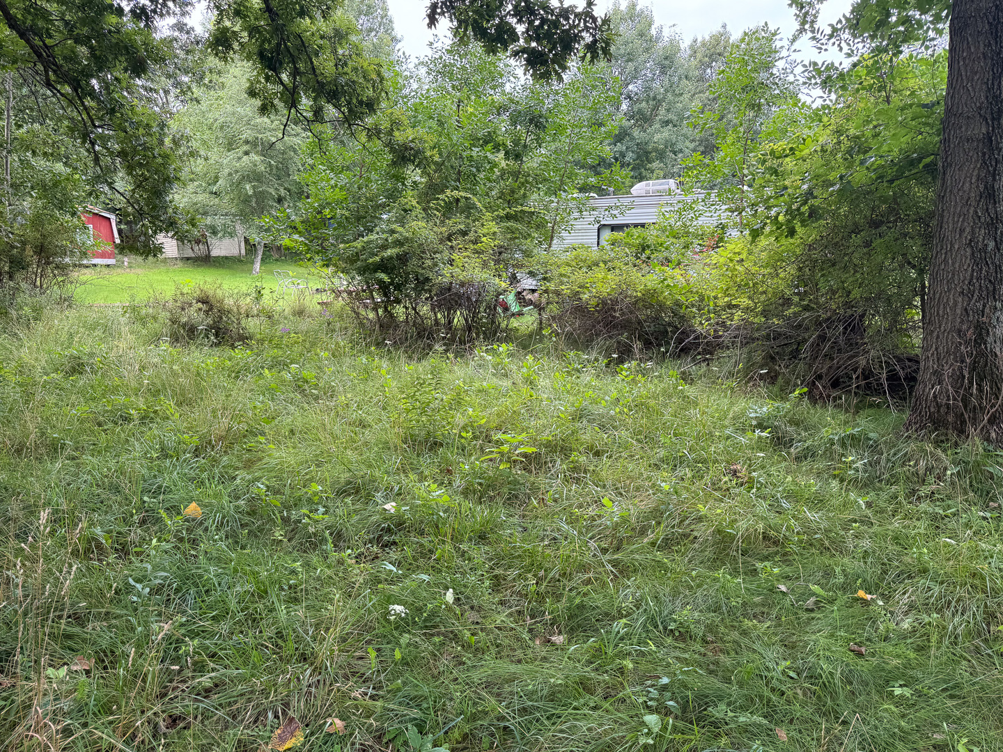 4-102&103 Woodhaven Sublette, IL 61367 - Photo 3 of 4 a view of a garden