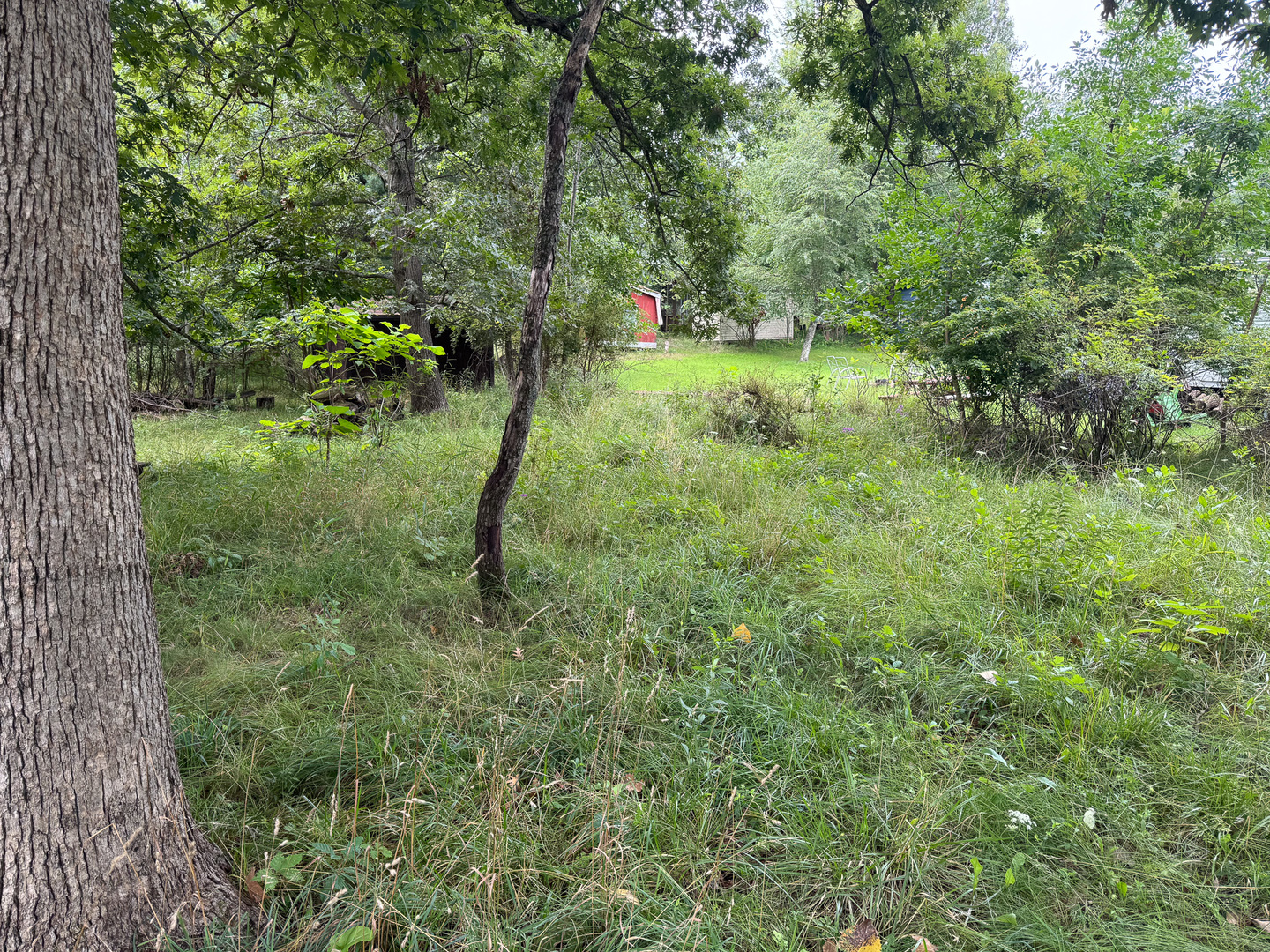 4-102&103 Woodhaven Sublette, IL 61367 - Photo 4 of 4 a view of outdoor space and trees
