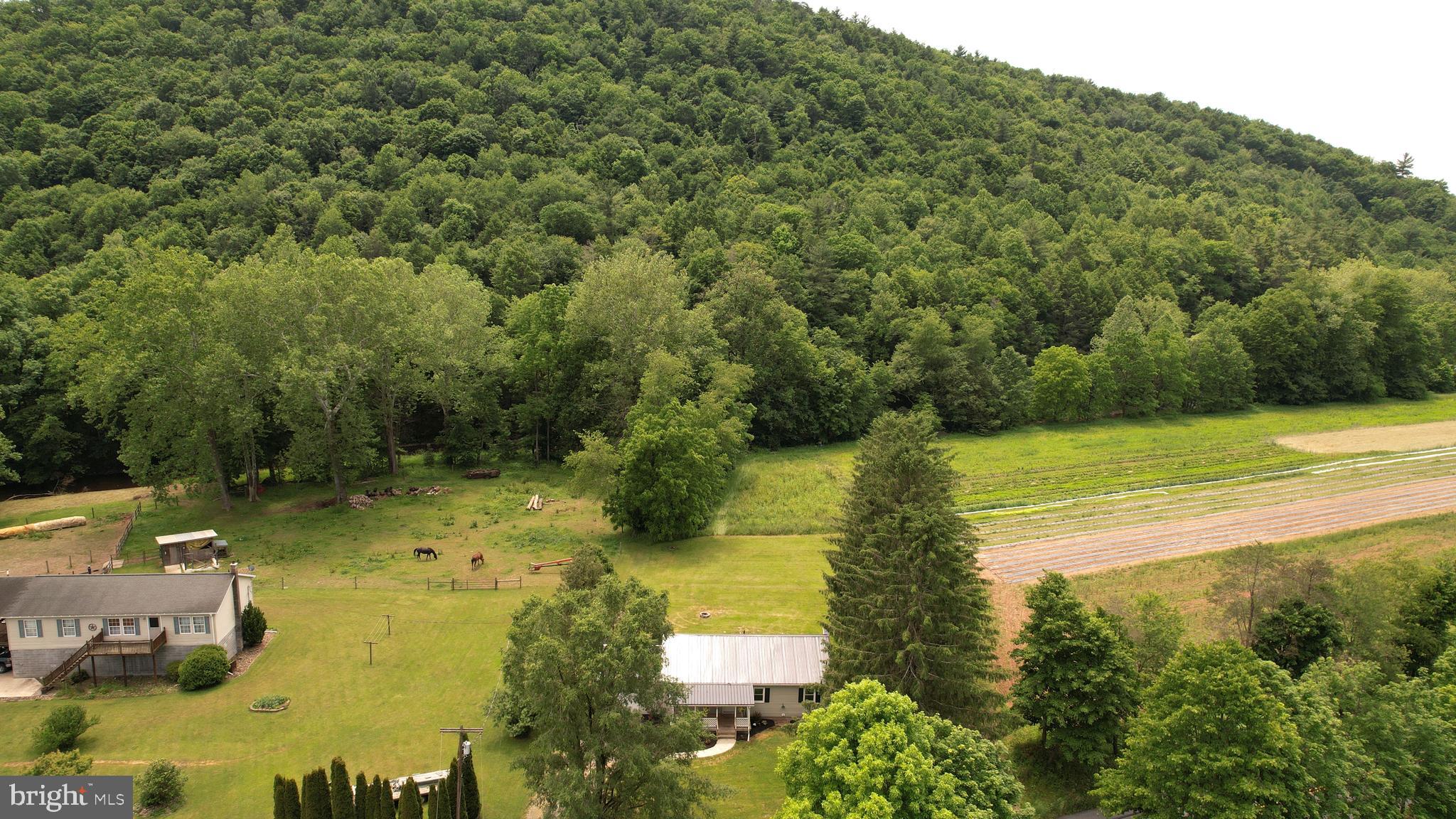 797 Marsh Creek Road Howard, PA 16841 - Photo 35 of 42